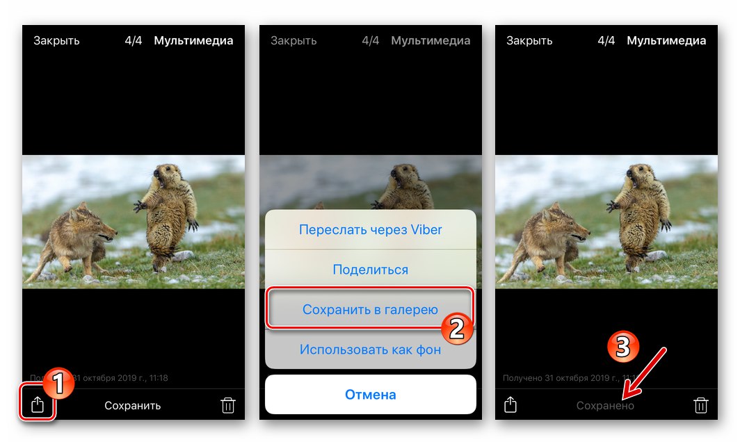 Viber за iPhone - копирайте снимки от месинджъра чрез менюто Споделяне