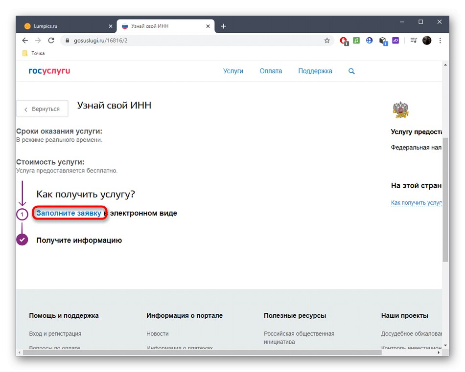 پر کردن فرم برای به دست آوردن TIN از طریق خدمات آنلاین خدمات دولتی