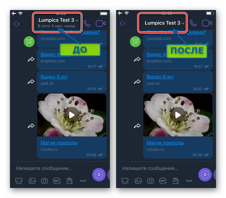 Viber pre iOS - výsledok odpojenia stavu online