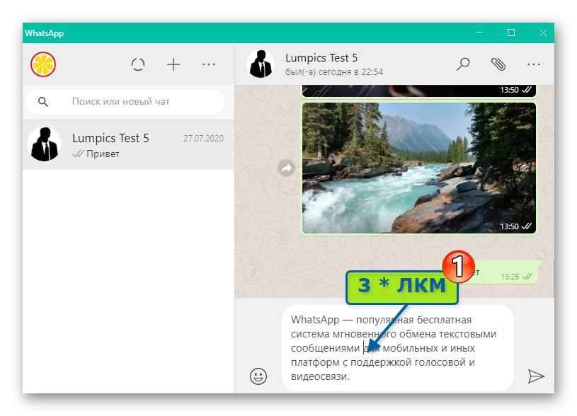 انقر نقرًا مزدوجًا فوق WhatsApp for Windows في حقل إدخال النص لتحديده تمامًا