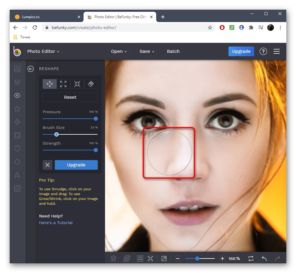 Процесът на намаляване на носа на снимката в онлайн услугата BeFunky