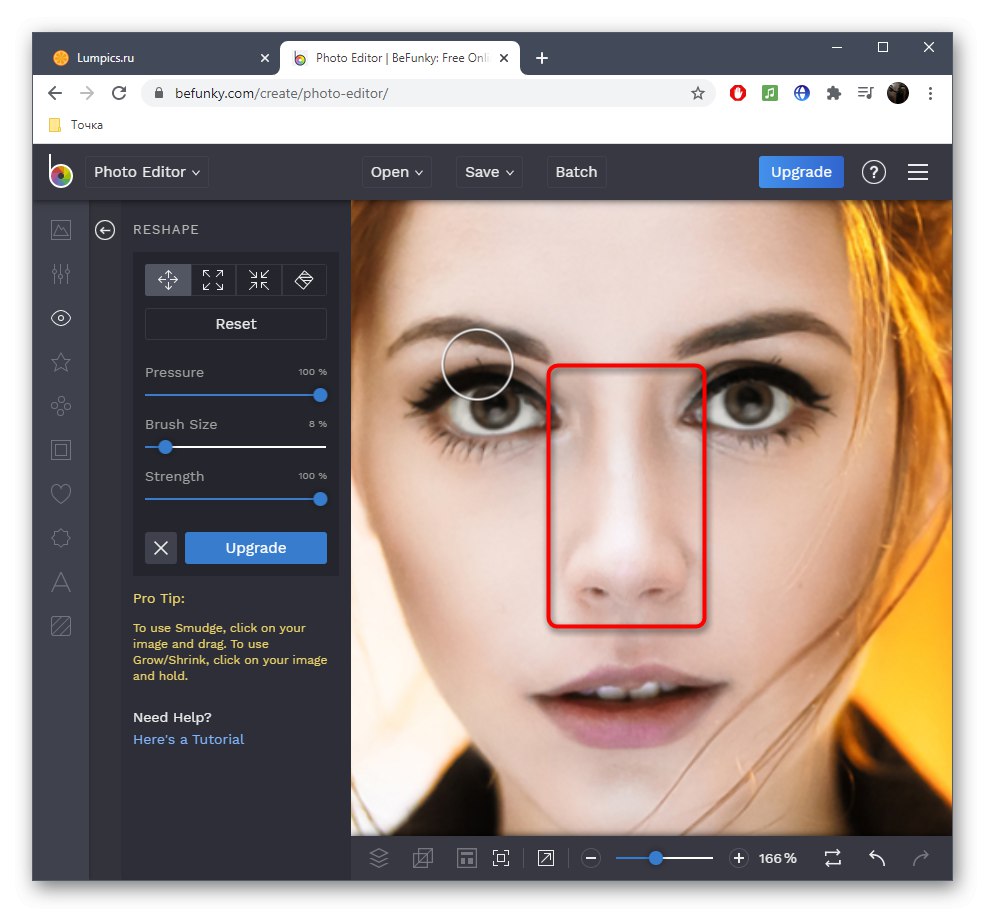 Резултатът от намаляване на носа на снимката в онлайн услугата BeFunky