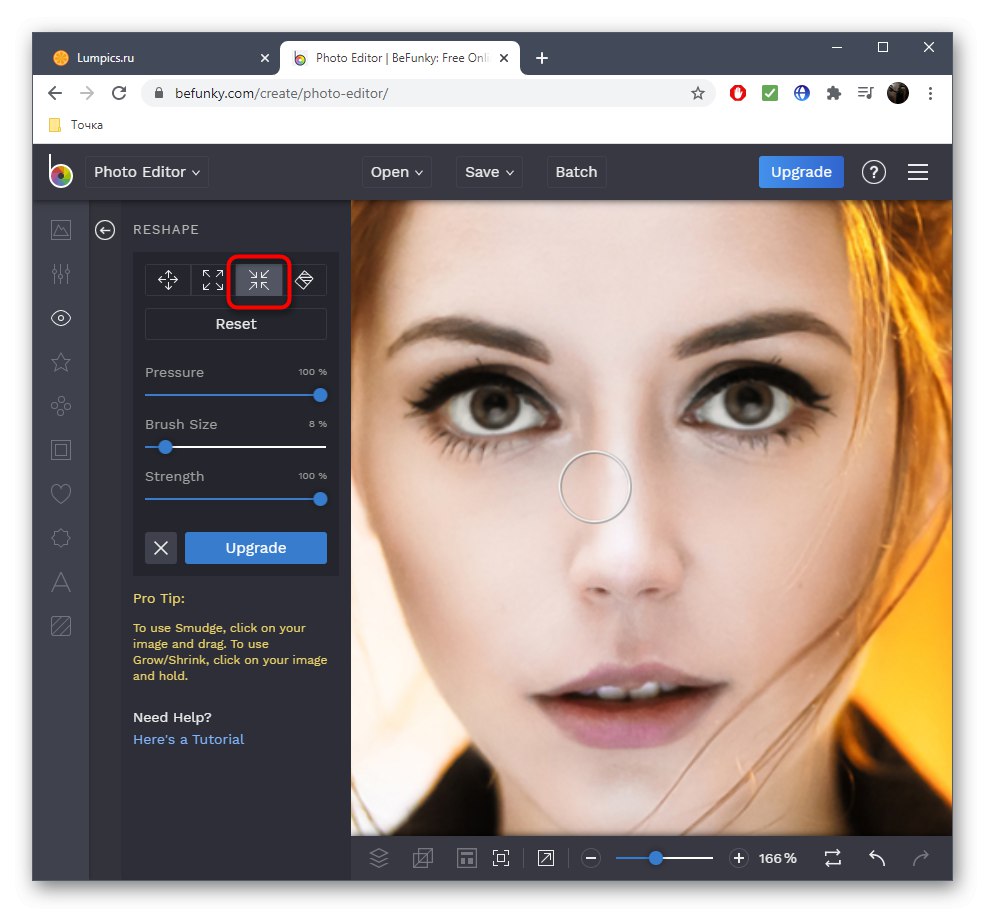 Избор на различен инструмент за намаляване на носа на снимката в онлайн услугата BeFunky