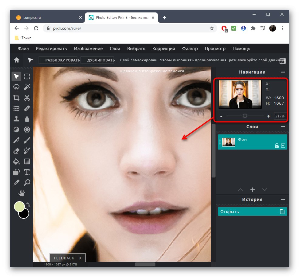 Мащабиране на снимка преди намаляване на носа на снимка с помощта на онлайн услугата PIXLR