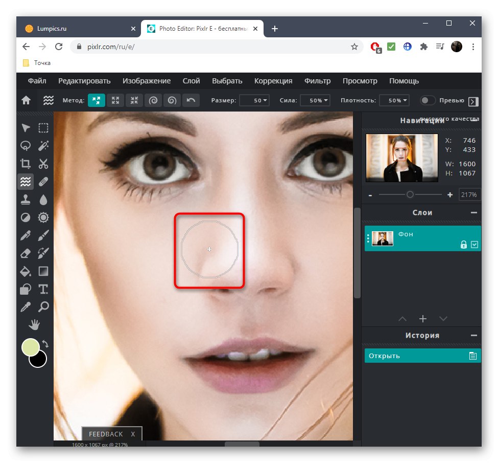 Намаляване на носа на снимката с помощта на онлайн услугата PIXLR