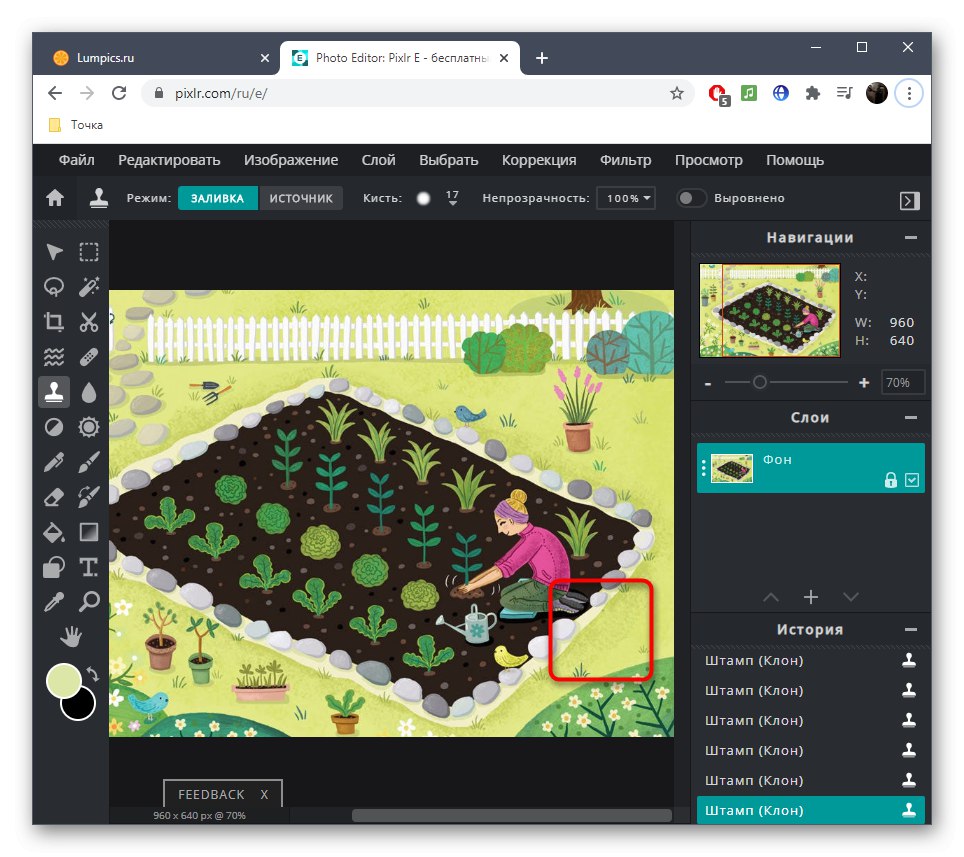 نتیجه حذف مقدار اضافی از عکس با استفاده از سرویس آنلاین PIXLR