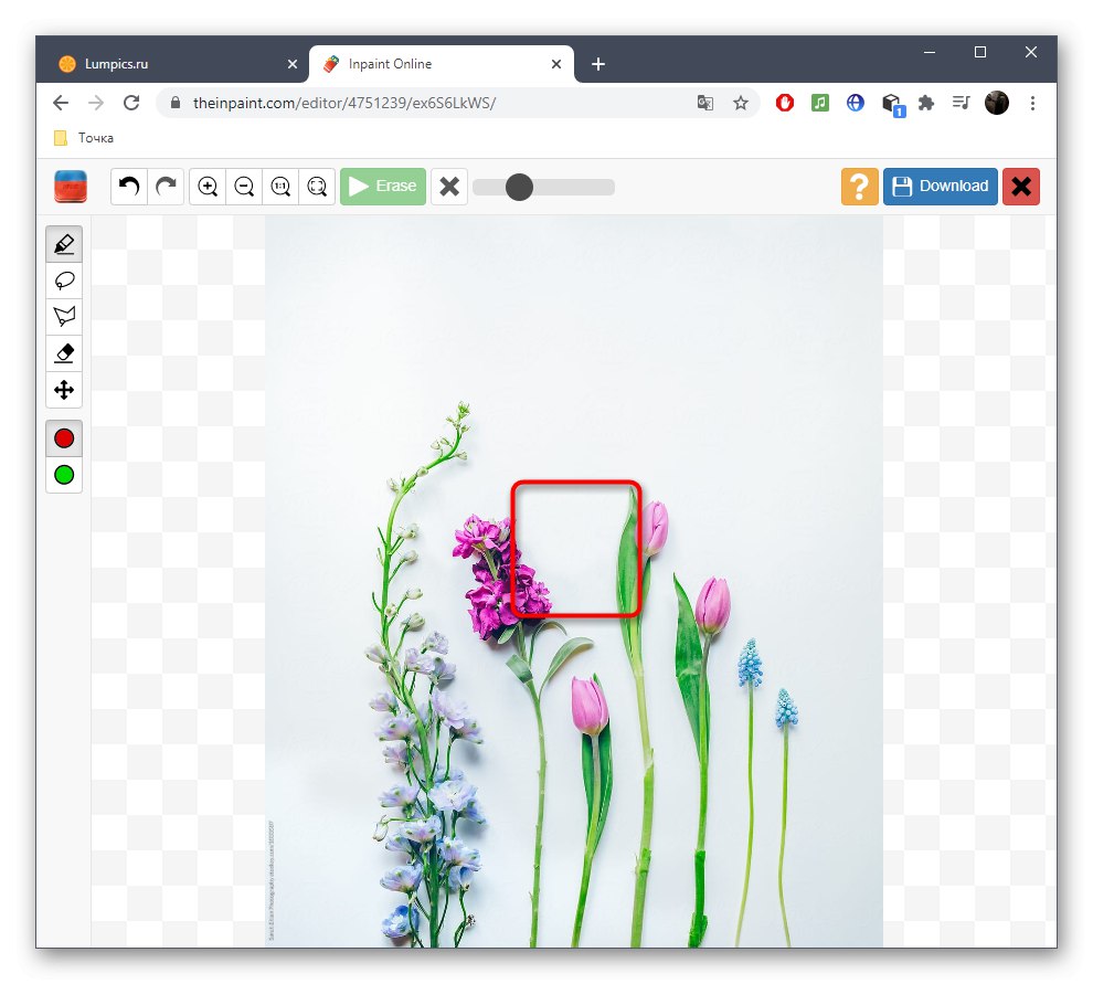 حذف موفقیت آمیز اضافی از عکس با استفاده از سرویس آنلاین Inpaint