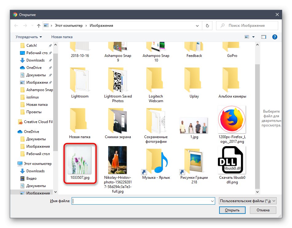 انتخاب یک تصویر برای حذف اضافی از طریق سرویس آنلاین Fotor