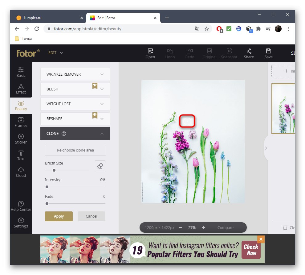 انتخاب منطقه ای برای جایگزینی مازاد عکس با استفاده از سرویس آنلاین Fotor