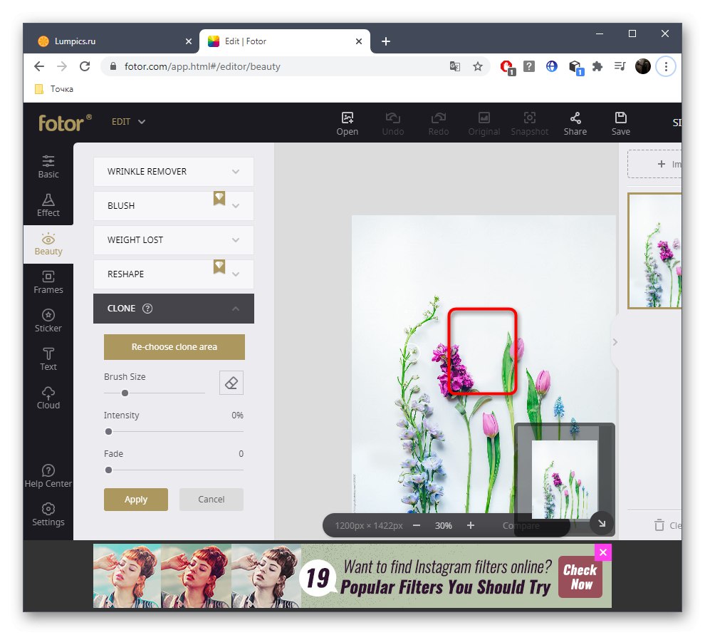 حذف موفقیت آمیز موارد اضافی از یک عکس با استفاده از سرویس آنلاین Fotor