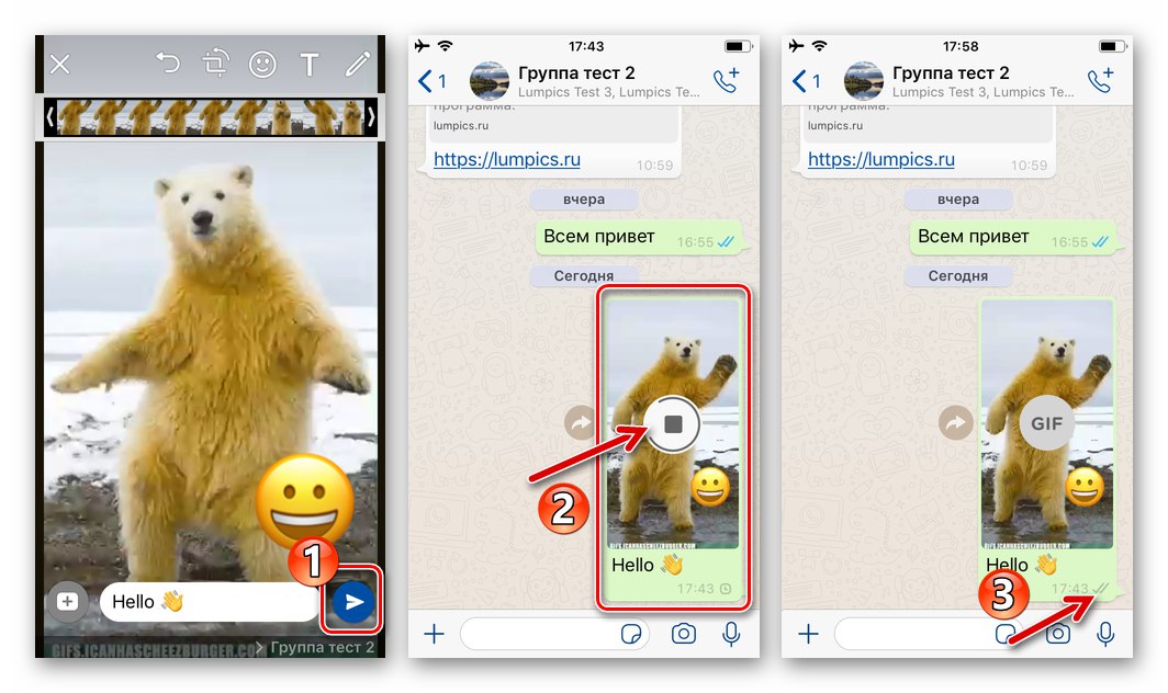 Как отправить гиф. Как отправить гиф в ватсапе. Как отправить гиф в ватсапе с айфона. Как вставить гиф в ватсап. Как искать гиф в ватсапе.