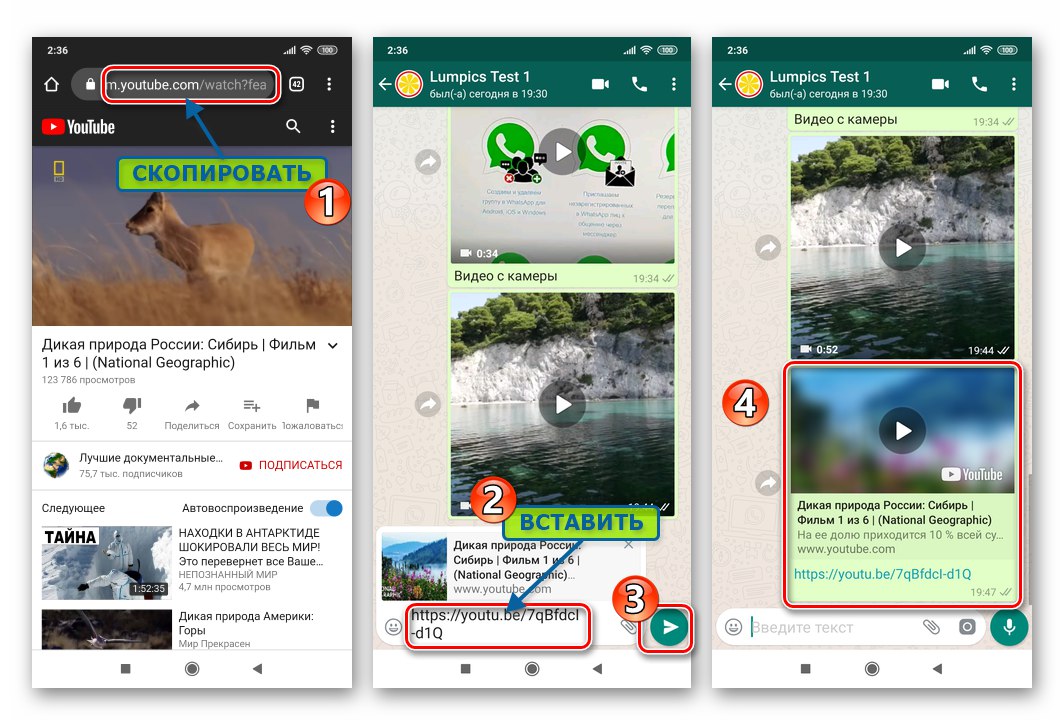 WhatsApp за Android копира връзка към видео от интернет ресурс и го поставя в съобщение