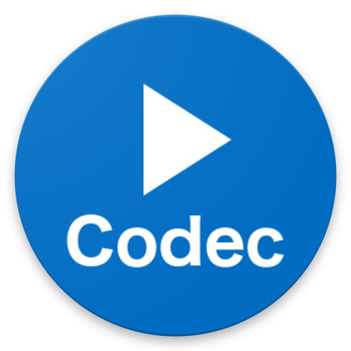 Audio a video kodeky