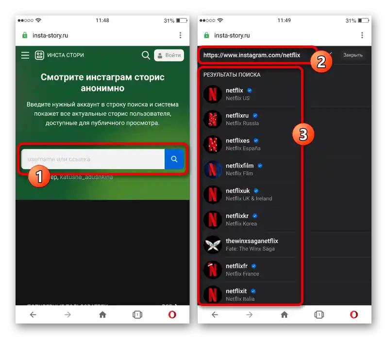 Пошук користувача в Instagram на веб-сайті Інста Сторі