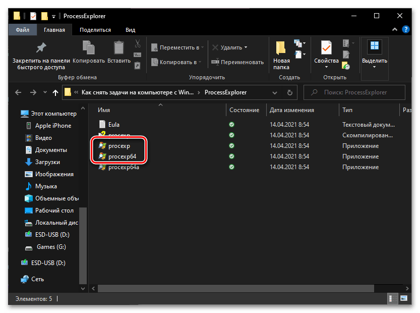 Стартиране на версията на приложението Process Explorer - алтернативен Диспечер на задачите за Windows 10