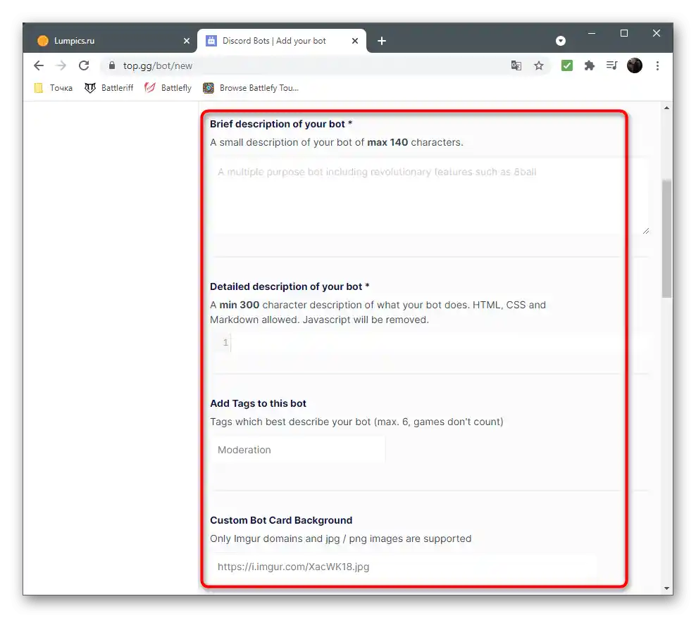 Izpolnitev osnovnih informacij na spletni strani za promocijo bota v Discordu