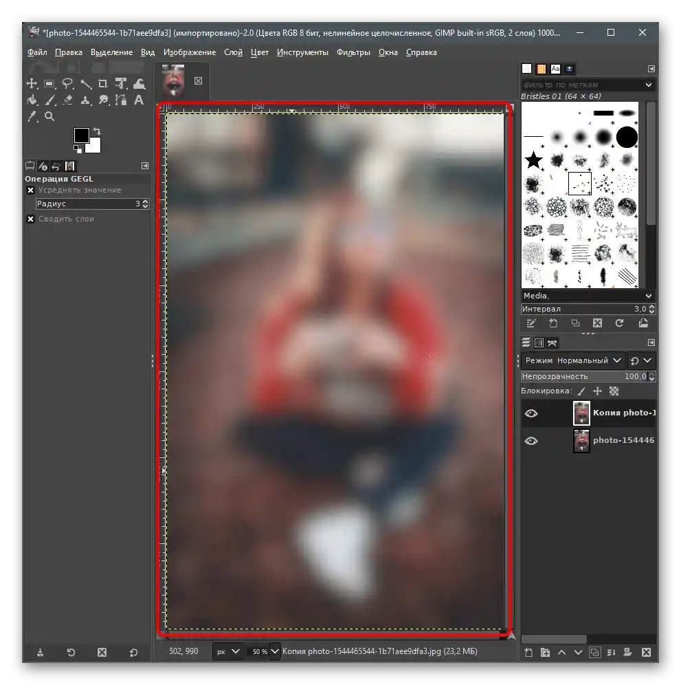 بررسی نتیجه فیلتر انتخاب شده برای محو کردن پسزمینه در عکس در GIMP