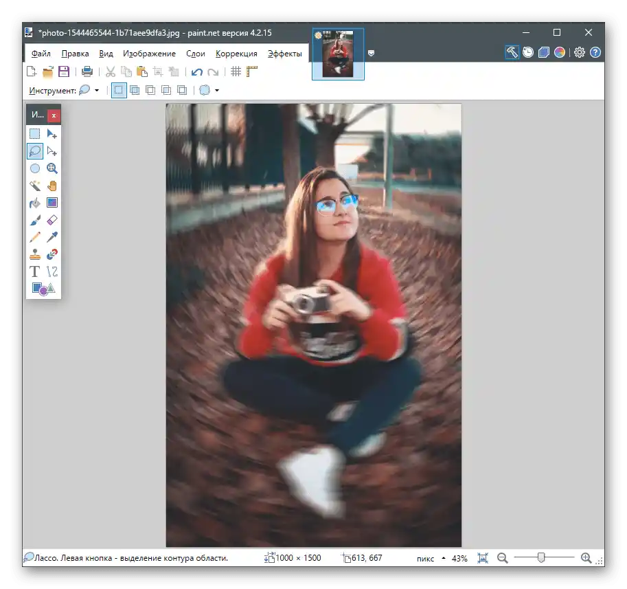 نتیجه استفاده از فیلتر برای محو کردن پسزمینه در عکس در Paint.NET