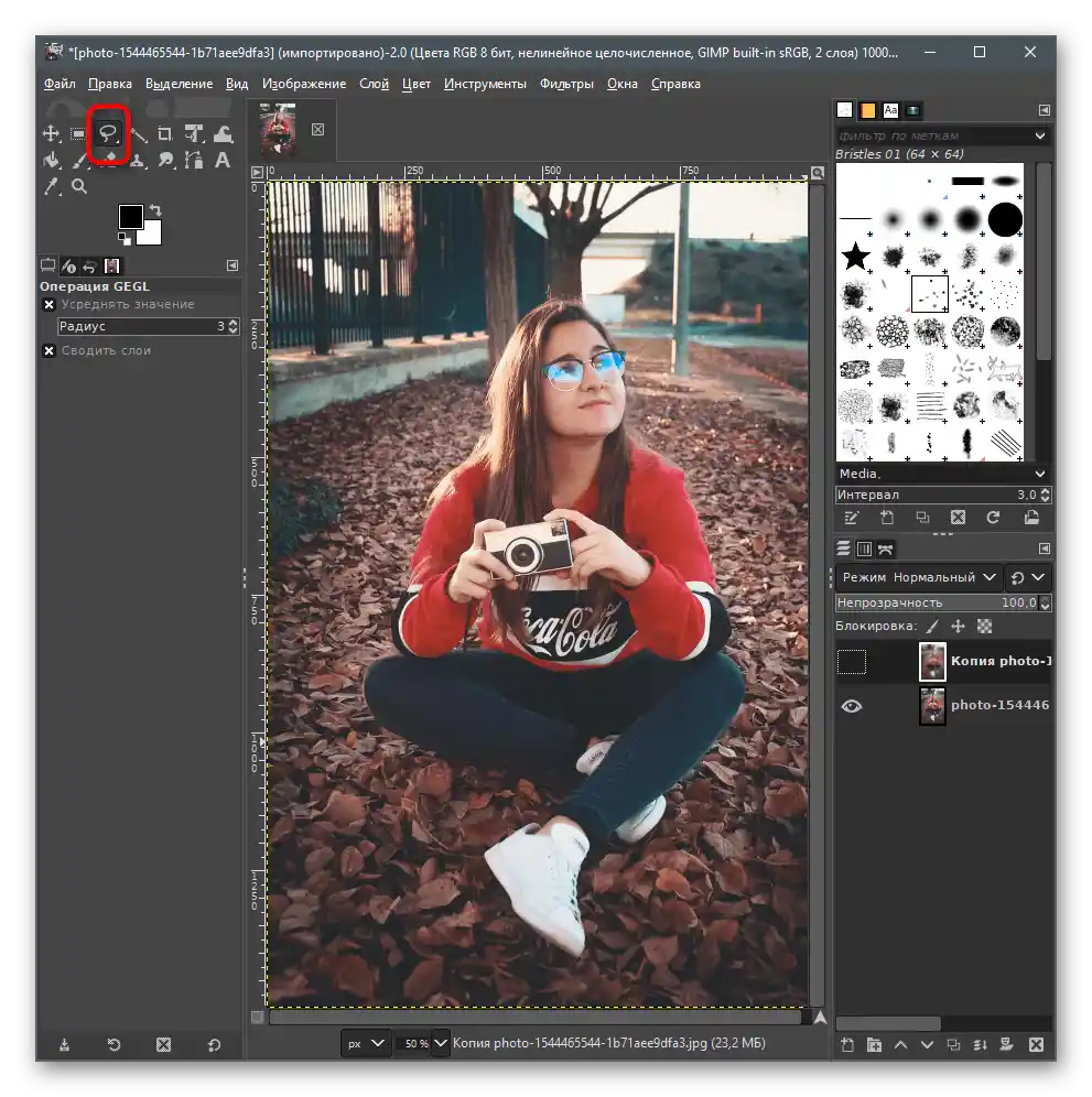 انتخاب ابزار انتخاب برای محو کردن پسزمینه در عکس در GIMP