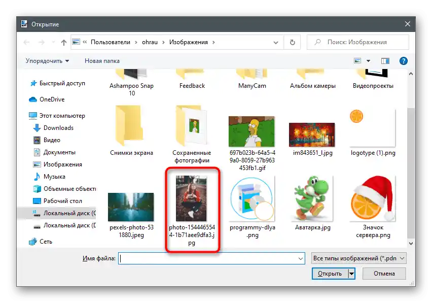 جستجوی فایل در پنجره اکسپلورر برای محو کردن پسزمینه در عکس در Paint.NET