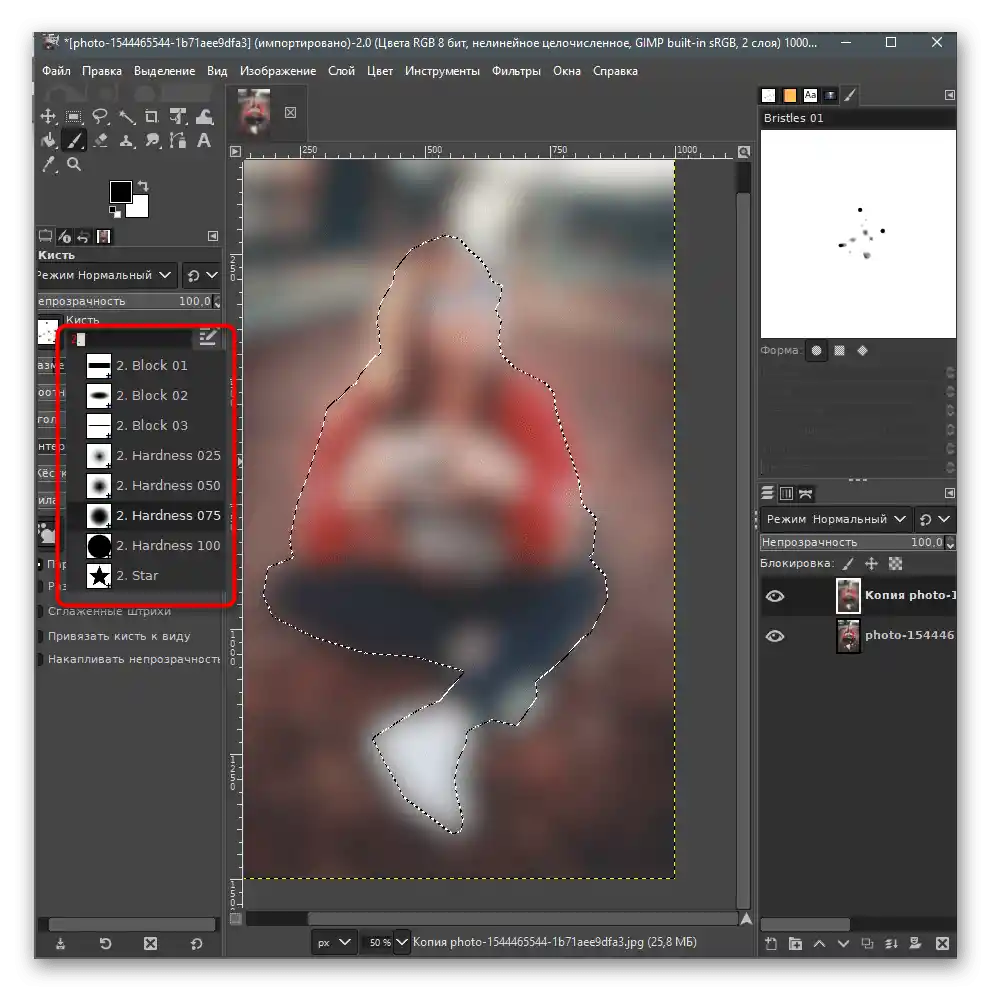 تنظیم ابزار قلم برای محو کردن پسزمینه در عکس در GIMP