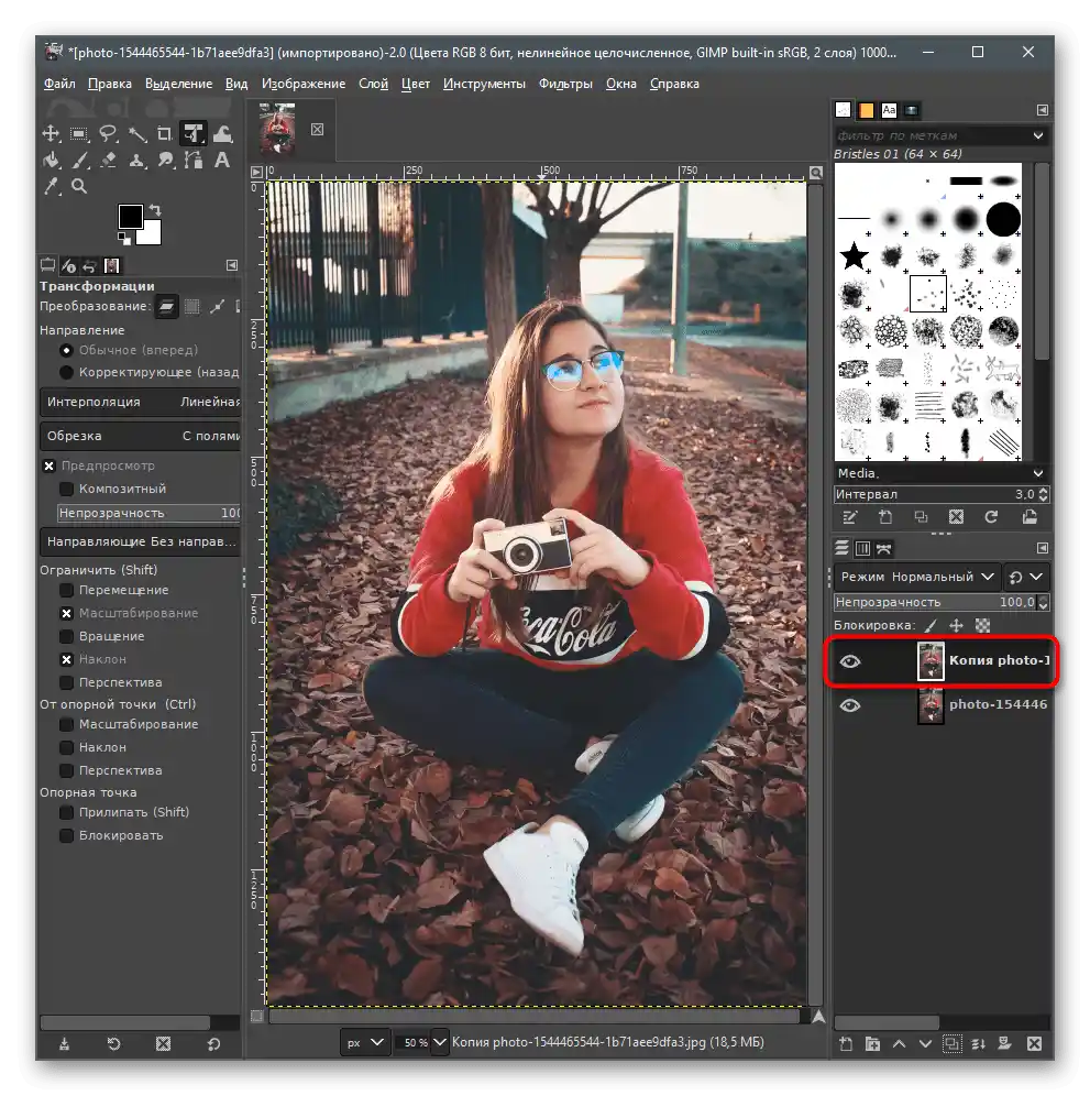 ایجاد موفقیتآمیز یک کپی از لایه برای محو کردن پسزمینه در عکس در GIMP