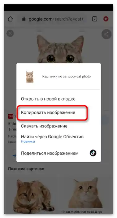 Kako poslati fotografiju na TikToku-4