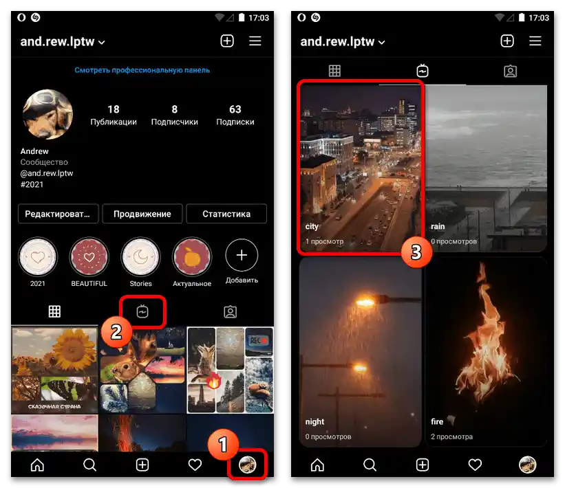 Jak stáhnout video IGTV z Instagramu_011