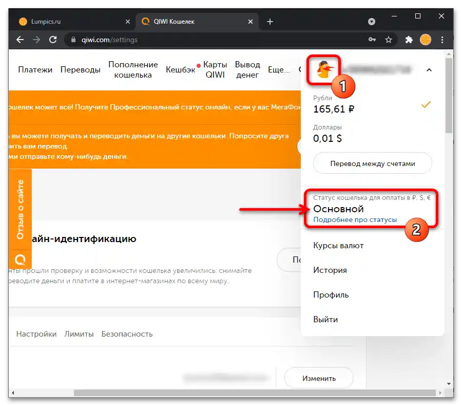 Как да идентифицирам Киви Кошелек_071