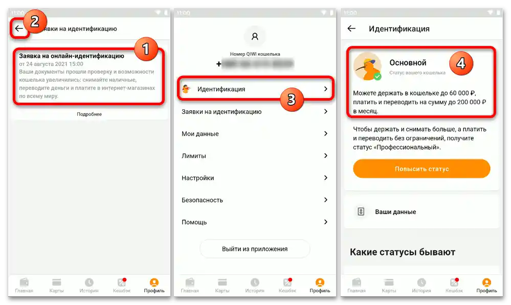 Как да идентифицирам Киви Кошелек_068