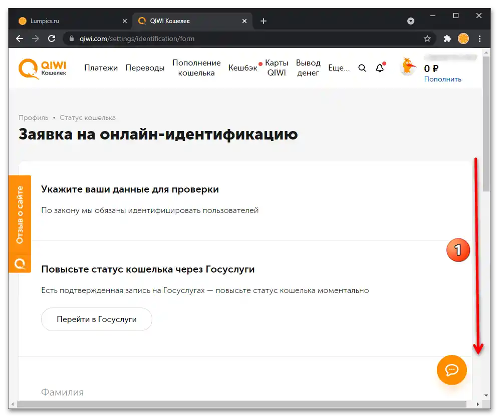 Как да идентифицирам Киви Кошелек_041