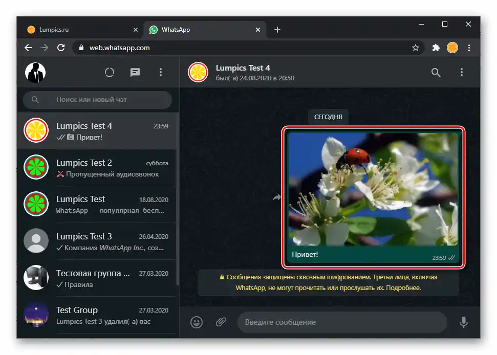 WhatsApp Web снимка изпратена чрез уеб версията на мессенджера