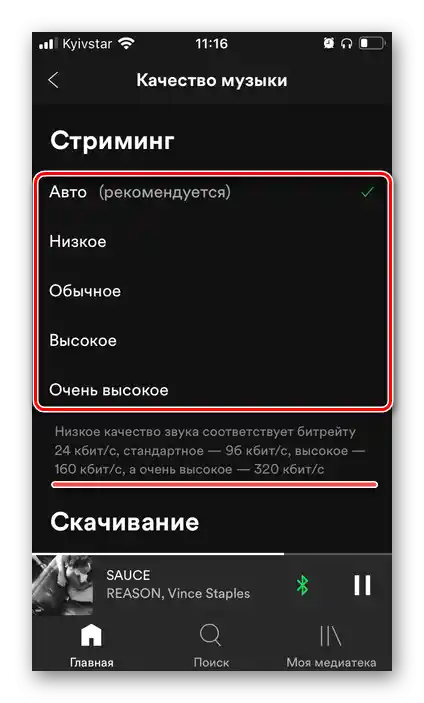 Избор на качеството на музиката в настройките на приложението Spotify на iPhone