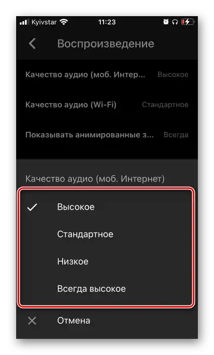 Избор на качеството на възпроизвеждане по мобилна мрежа в приложението YouTube Music на iPhone