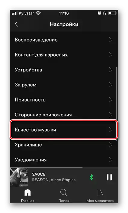 Преминете към промяна на качеството на музиката в настройките на приложението Spotify на iPhone