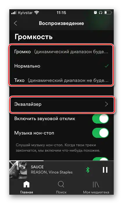 Избор на силата на звука и еквалайзера в настройките на приложението Spotify на iPhone