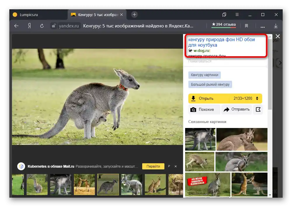 Primjer pronađene slike na stranici Yandex.Slike
