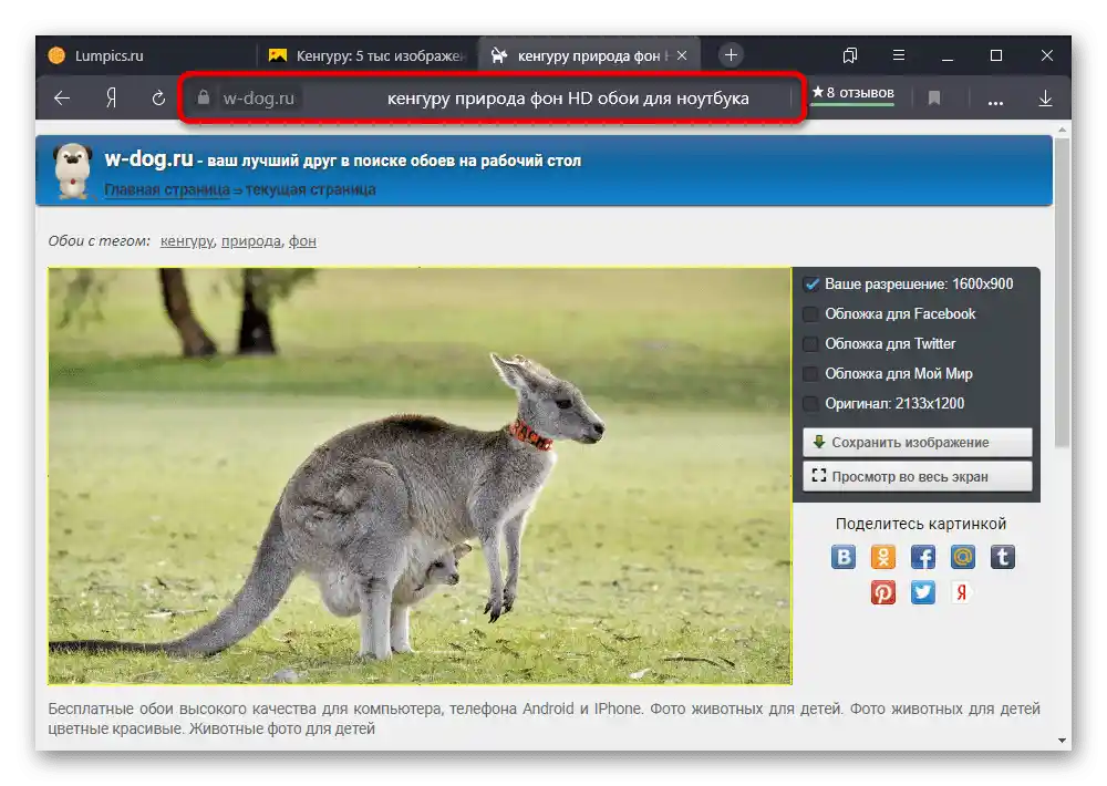 Primjer pronađene slike na Yandex.Slikama na originalnoj stranici