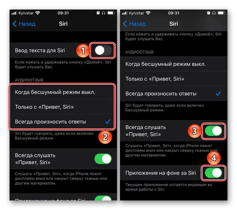 Зміна параметрів Універсального доступу для голосового асистента Siri в налаштуваннях iOS на iPhone