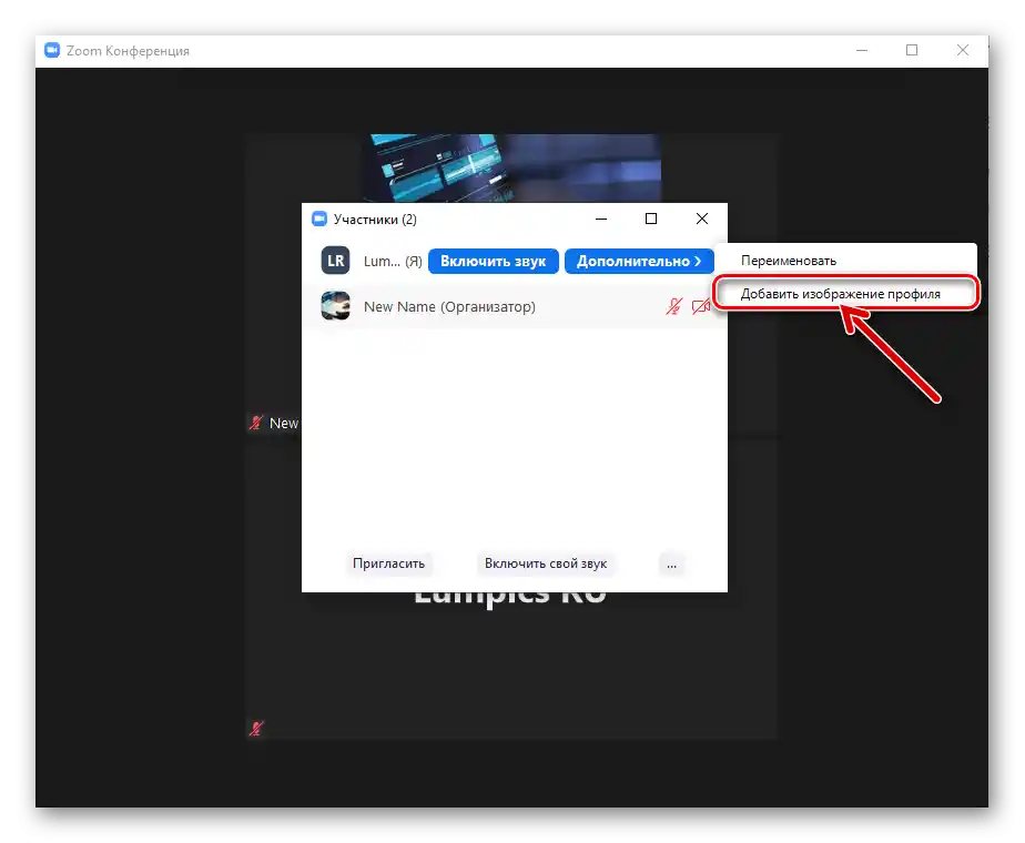 Zoom za Windows izbornik opcija profila sudionika online konferencije