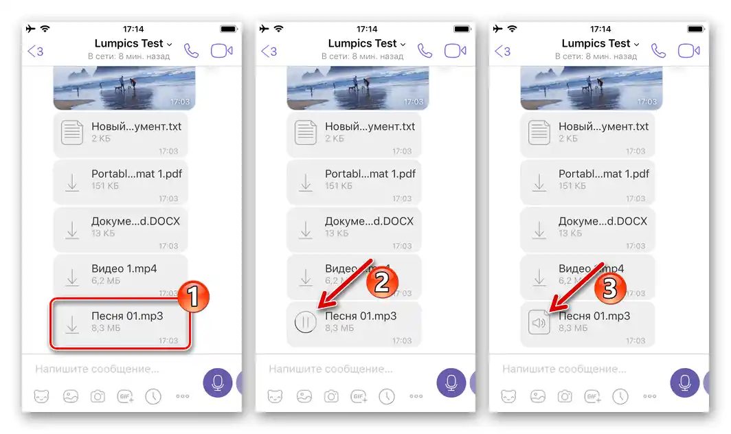 Viber за iOS - изтегляне на файл от месинджъра в паметта на iPhone