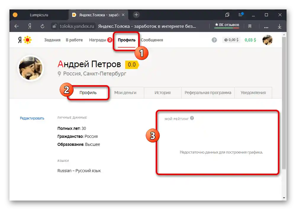 Преглед на информацията в профила на уебсайта Яндекс.Толока