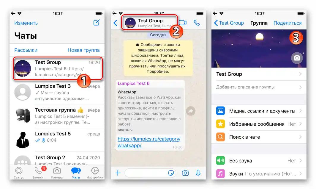 WhatsApp za iOS - prehod v skupinski klepet, odpiranje njegovih nastavitev