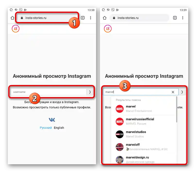 Proces vyhľadávania účtu z Instagramu na stránke Insta Stories