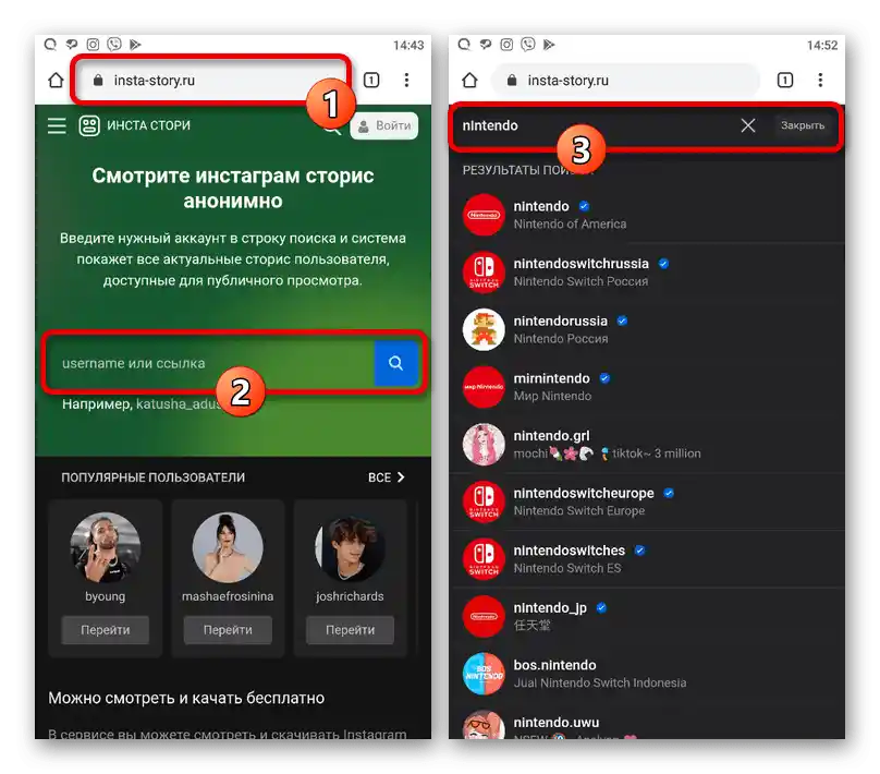 Proces vyhľadávania účtu z Instagramu na stránke Insta Story