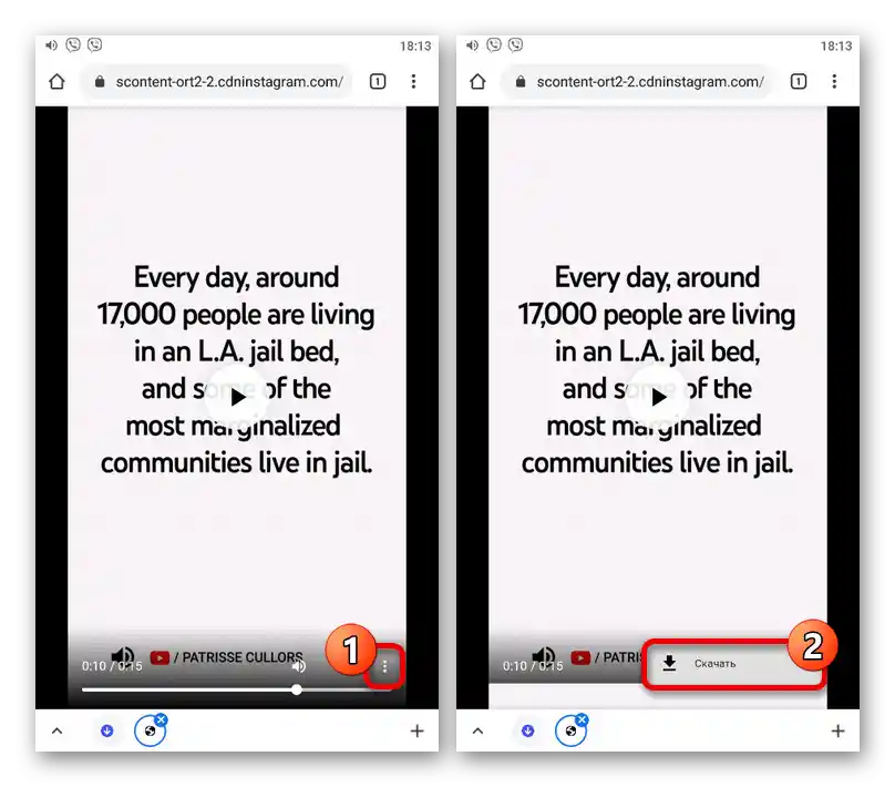 Пример за изтегляне на видео от историята на сайта на услугата Instadp