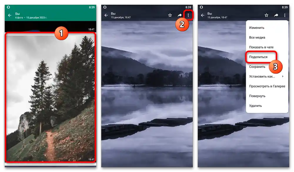 Kako preposlati iz Vatsapa na Viber_002