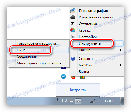 Виклик функції пинга в програмі NetWorx