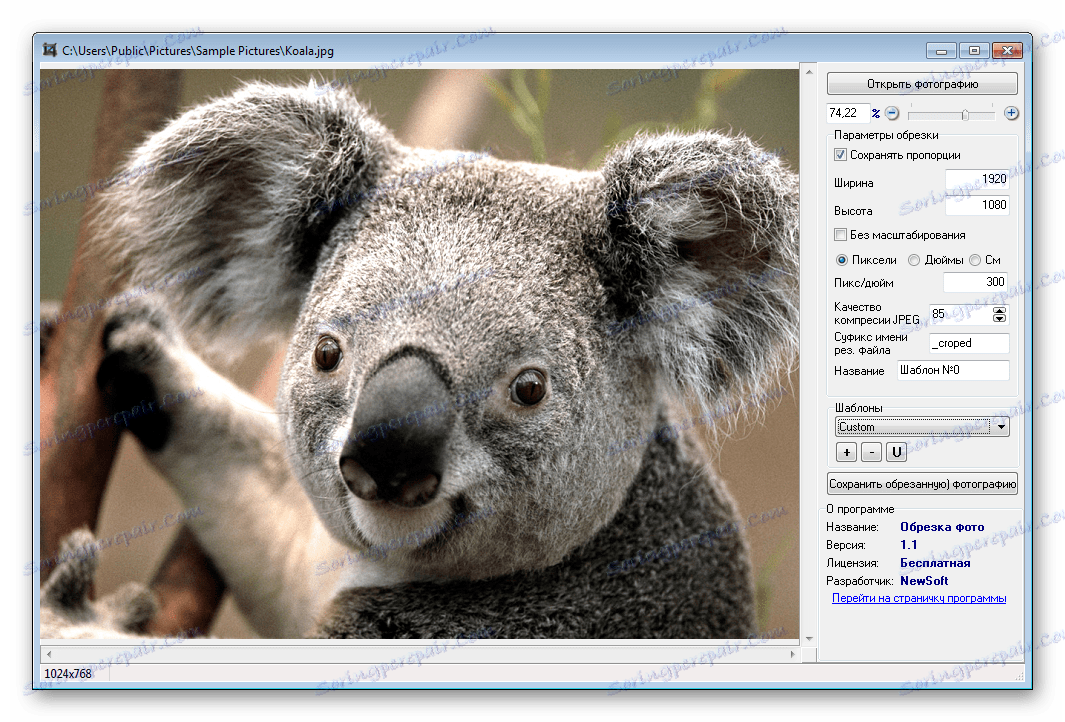 النافذة الرئيسية اقتصاص الصور