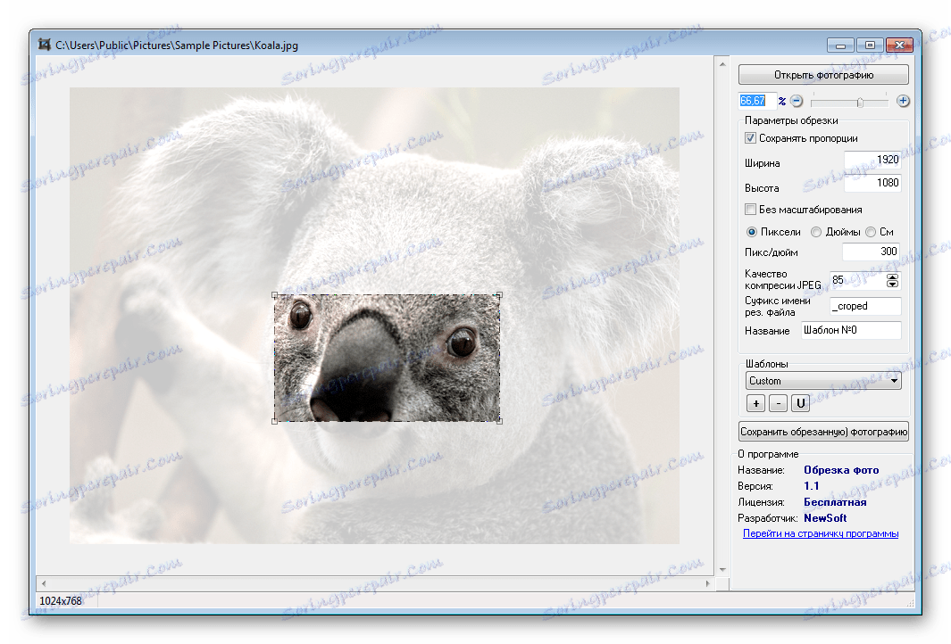 اختيار المنطقة تقليم الصور